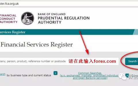 嘉盛外汇监管号查询