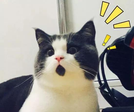 从包商银行债务谈保本理财和收益凭证