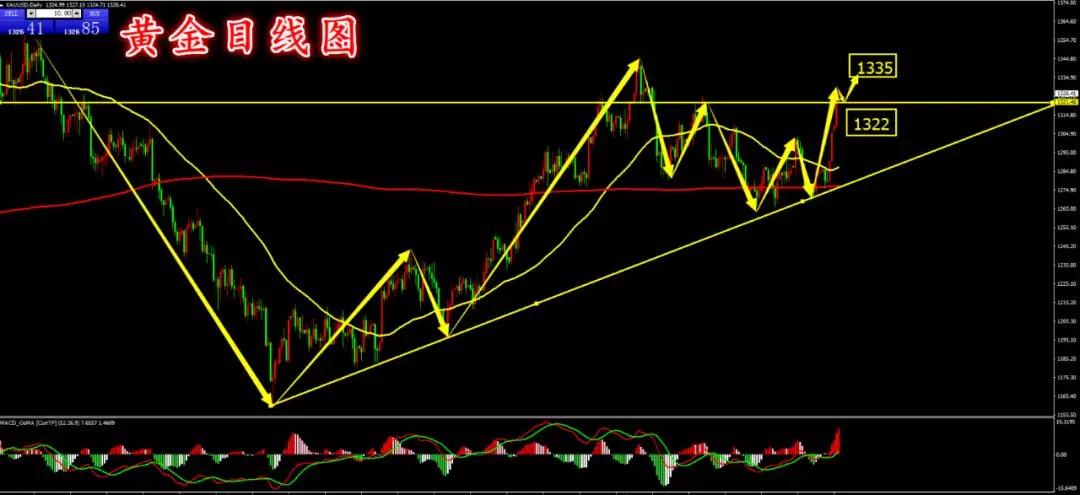 黄金外汇交易内参