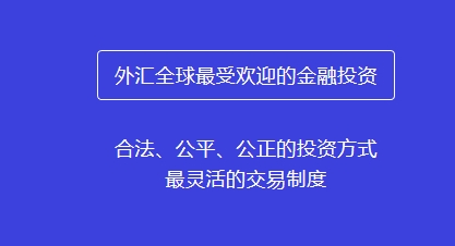 外汇全球最受欢迎的金融投资  合法、公平、公正的投资方式  最灵活的交易制度