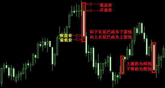 如何学习外汇入门知识