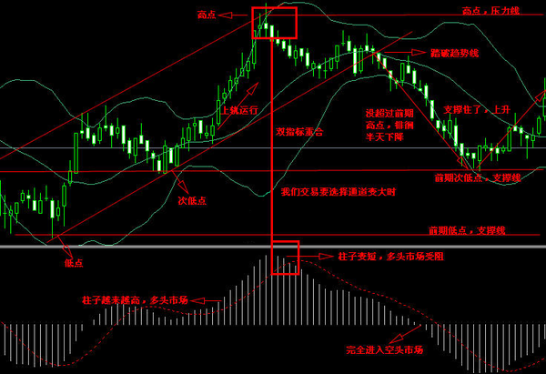 如何学习外汇入门知识