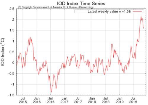 怎么看棕榈油近期走势？
