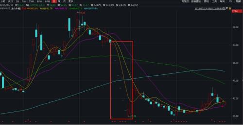 突发闪崩！多只热门股跌停 更有暴涨500％大牛股也栽了