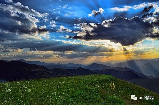 外汇托管新趋势解析，不容错过的财富