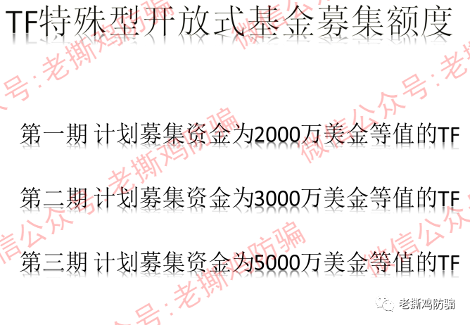 TFEX开放式信托基金-背景、团队全是假的，连公司都不存在！！
