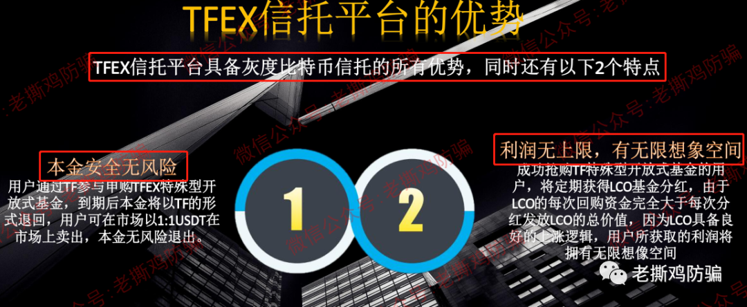TFEX开放式信托基金-背景、团队全是假的，连公司都不存在！！