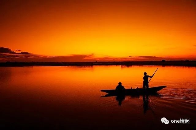 外汇托管新趋势解析，不容错过的财富