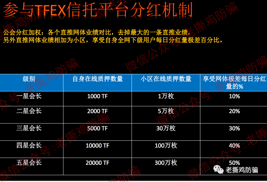 TFEX开放式信托基金-背景、团队全是假的，连公司都不存在！！